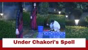 Taarak Mehta Ka Ooltah Chashmah Upcoming Twist: OMG!! Bhide under Chakori's spell; found washing clothes 953898