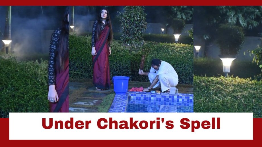 Taarak Mehta Ka Ooltah Chashmah Upcoming Twist: OMG!! Bhide under Chakori's spell; found washing clothes 953898