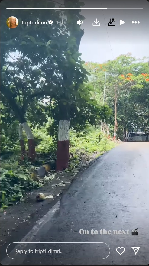 Triptii Dimri Shares A Glimpse Of Shooting Her Next ‘Spirit’ 950401