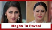 Vasudha Upcoming Twist: Megha to tell Chandrika the big truth; Will Devansh's presence stop her? 952446