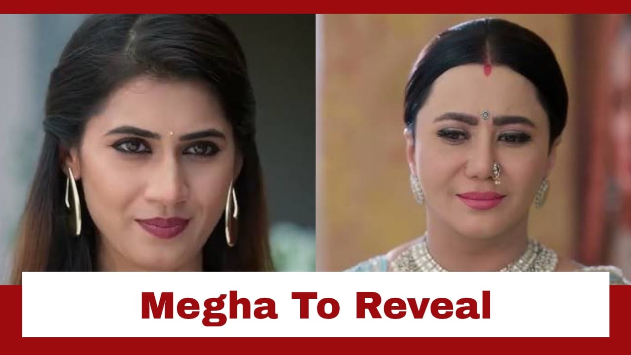 Vasudha Upcoming Twist: Megha to tell Chandrika the big truth; Will Devansh's presence stop her? 952446