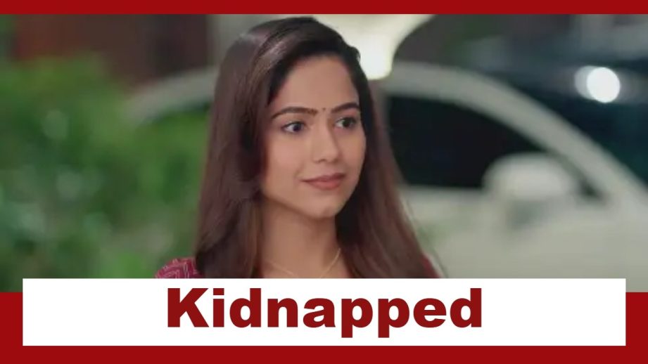 Vasudha Upcoming Twist: OMG!! Divya to get kidnapped; Who is behind this big plan? 954305