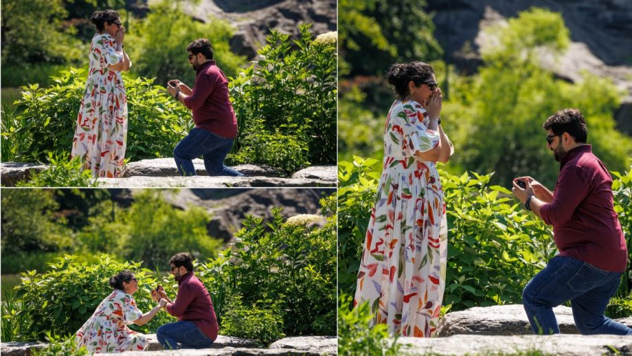 Anshula Kapoor Gets Engaged To Rohan Thakkar In Dreamy NYC Proposal 955016