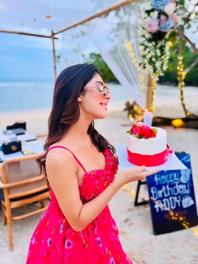 Anupamaa Actress Adrija Roy's Birthday Celebration In Phuket Is All About Sunshine, Style & A Pink Gown 955057