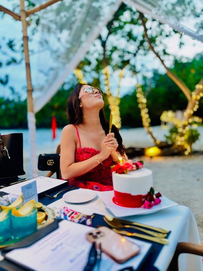 Anupamaa Actress Adrija Roy's Birthday Celebration In Phuket Is All About Sunshine, Style & A Pink Gown 955049