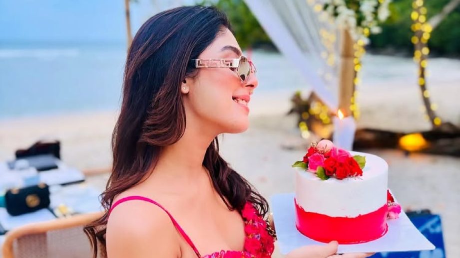 Anupamaa Actress Adrija Roy's Birthday Celebration In Phuket Is All About Sunshine, Style & A Pink Gown 955047