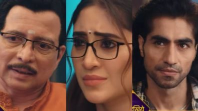 Bade Achhe Lagte Hain Naya Season Serial Spoiler: Mukul Proves Bhagyashree Single – Will Rishabh Gets Exposed?