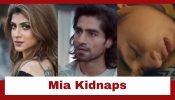 Bade Achhe Lagte Hain - Naya Season Upcoming Twist: OMG!! Mia kidnaps Revati; Will Rishabh save her? 957180