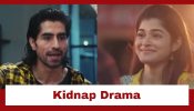 Bade Achhe Lagte Hain - Naya Season Upcoming Twist: OMG!! Revati goes missing; Will Rishabh be connected to it? 957024