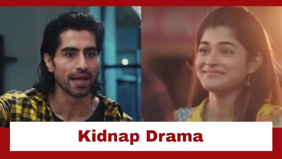 Bade Achhe Lagte Hain - Naya Season Upcoming Twist: OMG!! Revati goes missing; Will Rishabh be connected to it? 957024