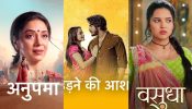 BARC India Ratings July 31: Anupamaa Tops The Charts, Udne Ki Aasha Drops, Vasudha Rises 960021