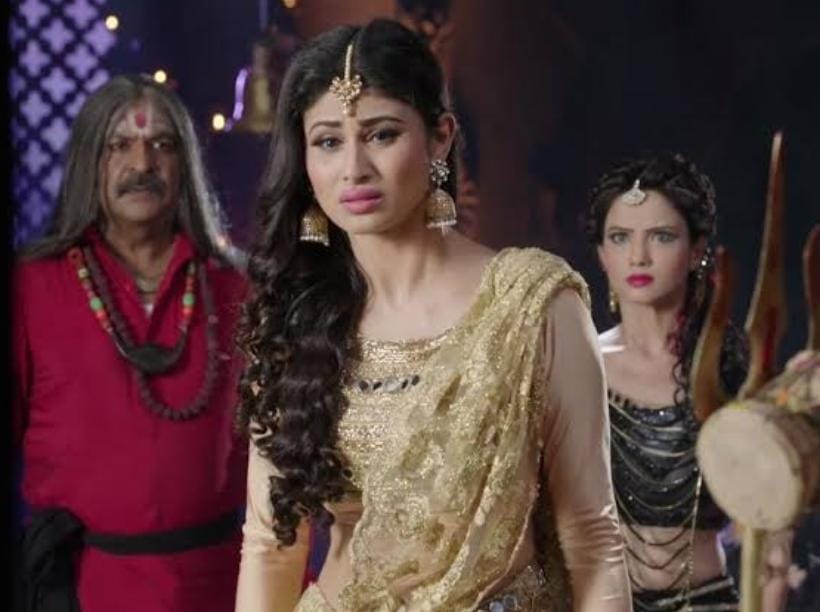 Before Naagin 7: Actresses Who Ruled the Serpent Saga 959279