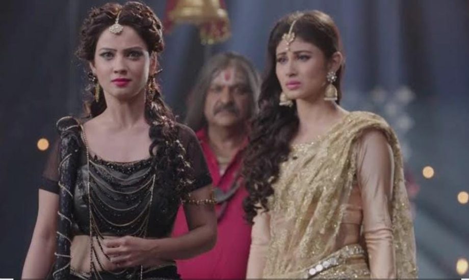 Before Naagin 7: Actresses Who Ruled the Serpent Saga 959278