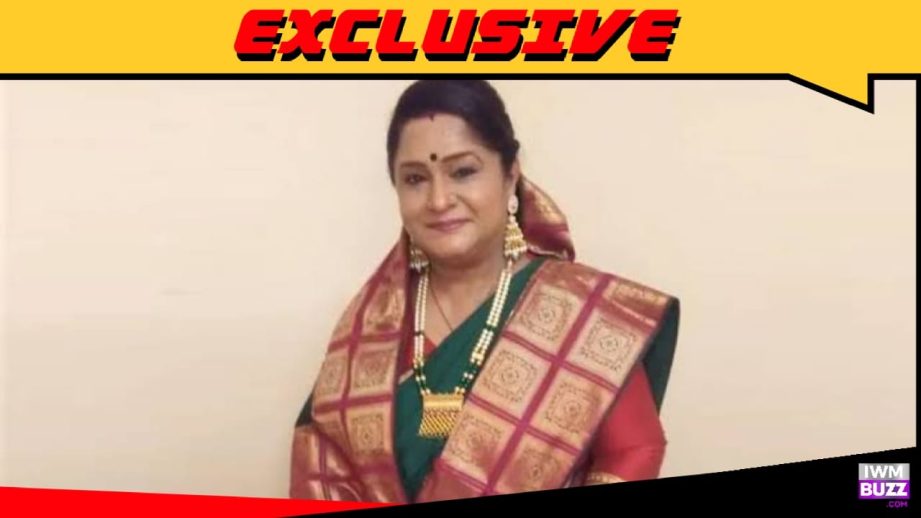 Exclusive: Meena Nathani joins the cast of Dangal's Mann Atisundar in its post-leap phase 957684