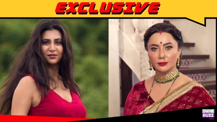 Exclusive: Parineeta Borthakur to replace Nausheen Ali Sardar in Zee TV's Vasudha? 958128