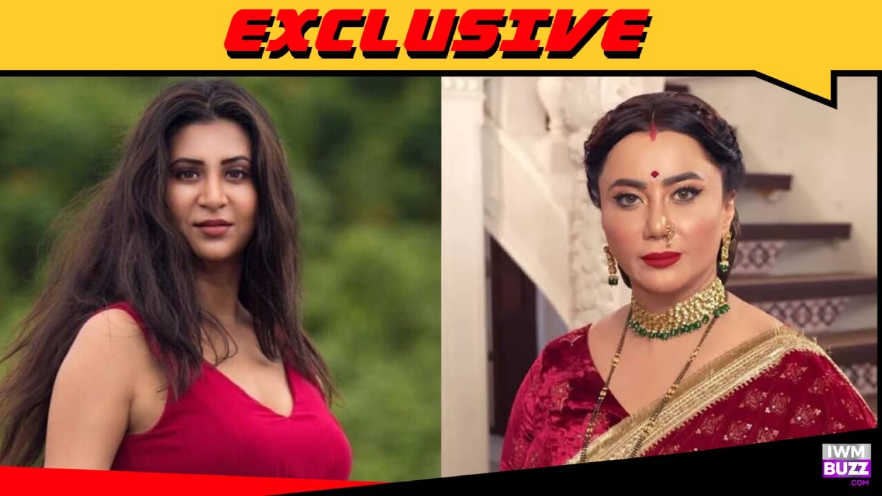 Exclusive: Parineeta Borthakur to replace Nausheen Ali Sardar in Zee TV's Vasudha? 958128