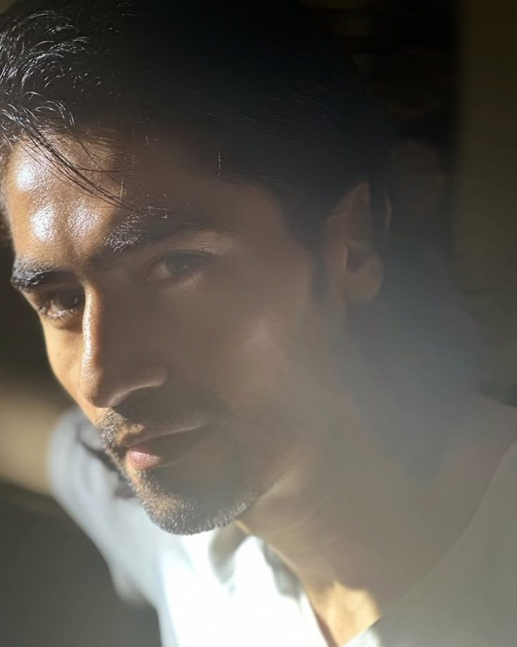 Harshad Chopda Reflects On Growth Over TRP Ratings Amid BALH Season 4 Buzz 957512