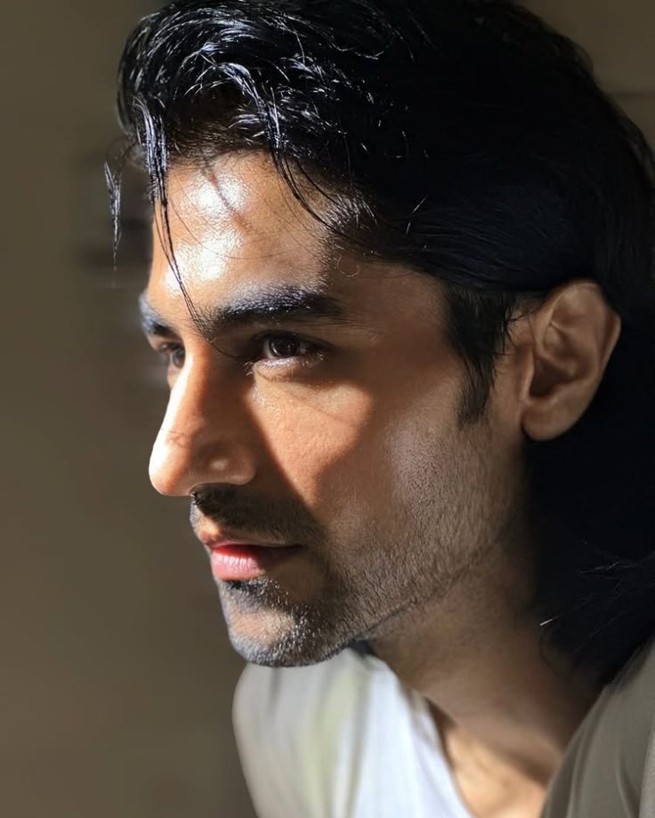 Harshad Chopda Reflects On Growth Over TRP Ratings Amid BALH Season 4 Buzz 957513