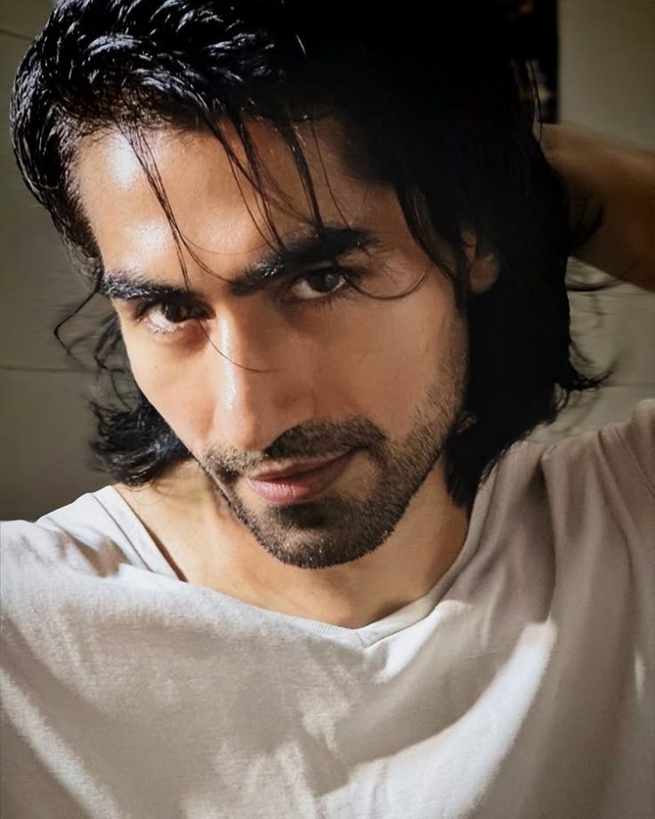 Harshad Chopda Reflects On Growth Over TRP Ratings Amid BALH Season 4 Buzz 957506