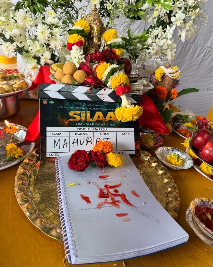 Harshvardhan Rane-Sadia Khateeb Starrer Titled 'Silaa'; Karan Veer Mehra Turns Villain For Omung Kumar's Next 954487