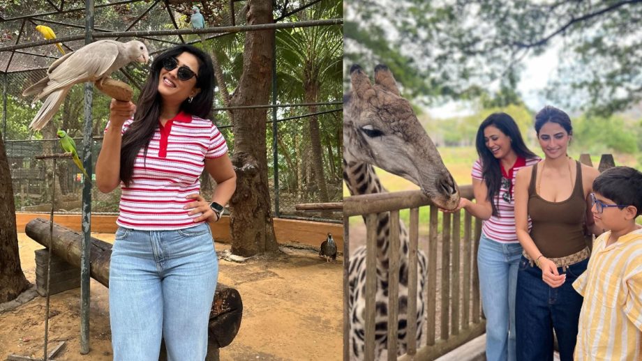 In Photos: Shweta Tiwari's Adventurous Trip With Children Palak Tiwari And Reyansh Kohli 954628