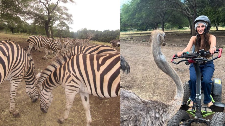 In Photos: Shweta Tiwari's Adventurous Trip With Children Palak Tiwari And Reyansh Kohli 954629