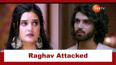 Jaane Anjaane Hum Mile Upcoming Twist: Raghav gets attacked; Reet comes to his rescue