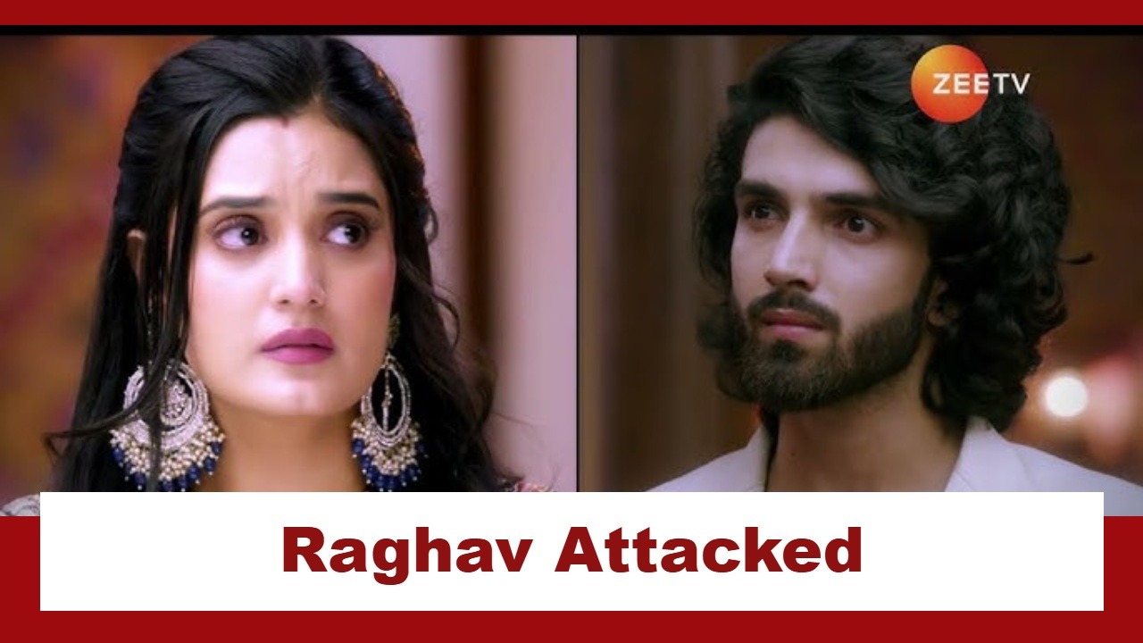 Jaane Anjaane Hum Mile Upcoming Twist: Raghav gets attacked; Reet comes to his rescue 959469