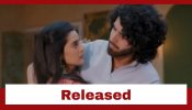 Jaane Anjaane Hum Mile Upcoming Twist: Reet gets Raghav released; stand firm about his innocence 957340