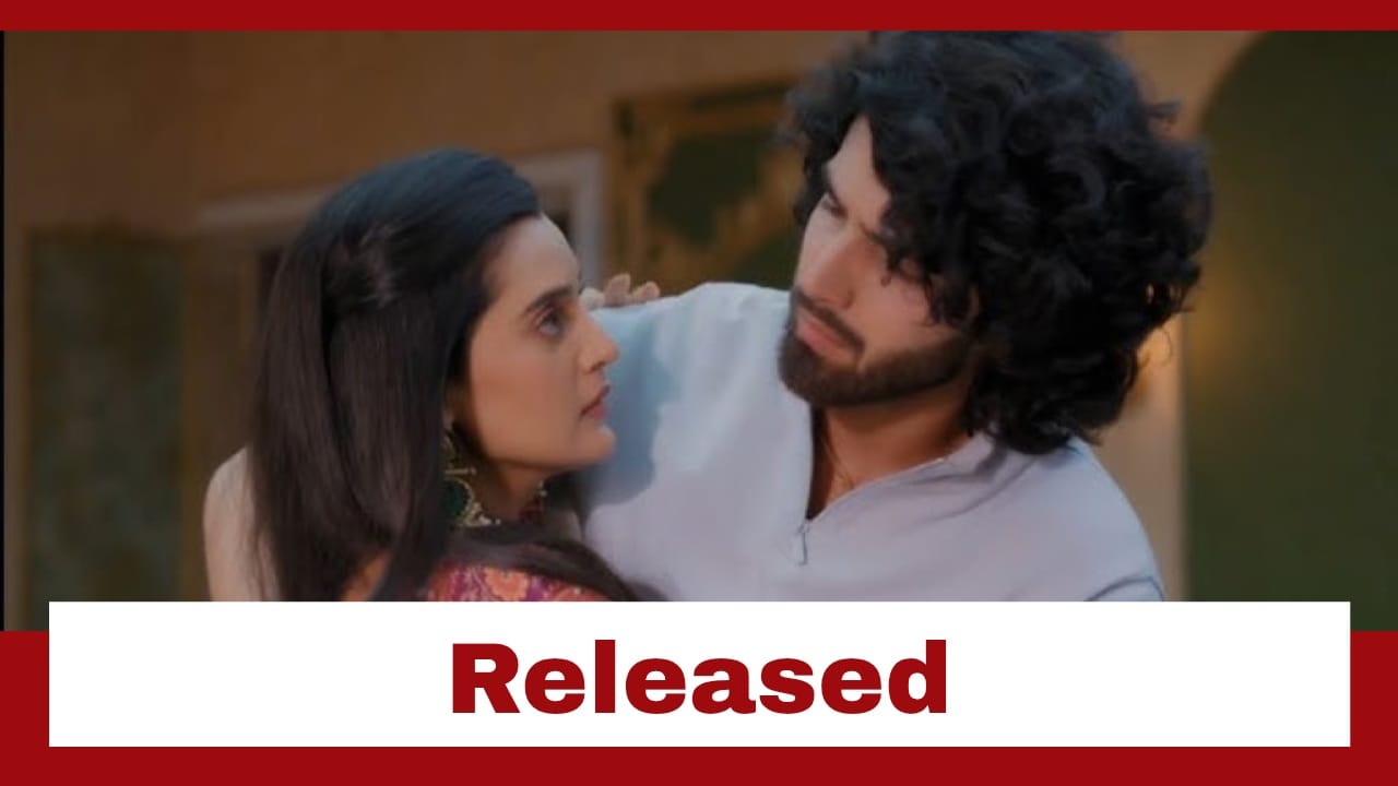 Jaane Anjaane Hum Mile Upcoming Twist: Reet gets Raghav released; stand firm about his innocence 957340