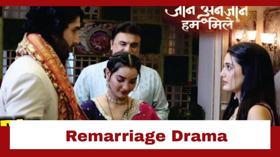 Jaane Anjaane Hum Mile Upcoming Twist: Reet-Raghav remarry; Reet takes an oath to be Raghav's shield 955129