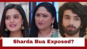 Jaane Anjaane Hum Mile Upcoming Twist: Reet stops Raghav from signing documents; exposes Sharda Bua 955564