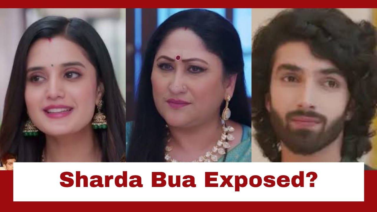 Jaane Anjaane Hum Mile Upcoming Twist: Reet stops Raghav from signing documents; exposes Sharda Bua
