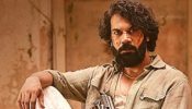 Maalik Box Office Collection Day 19: Total 29.38 Cr Worldwide; India Nett 24.92 Cr 959778
