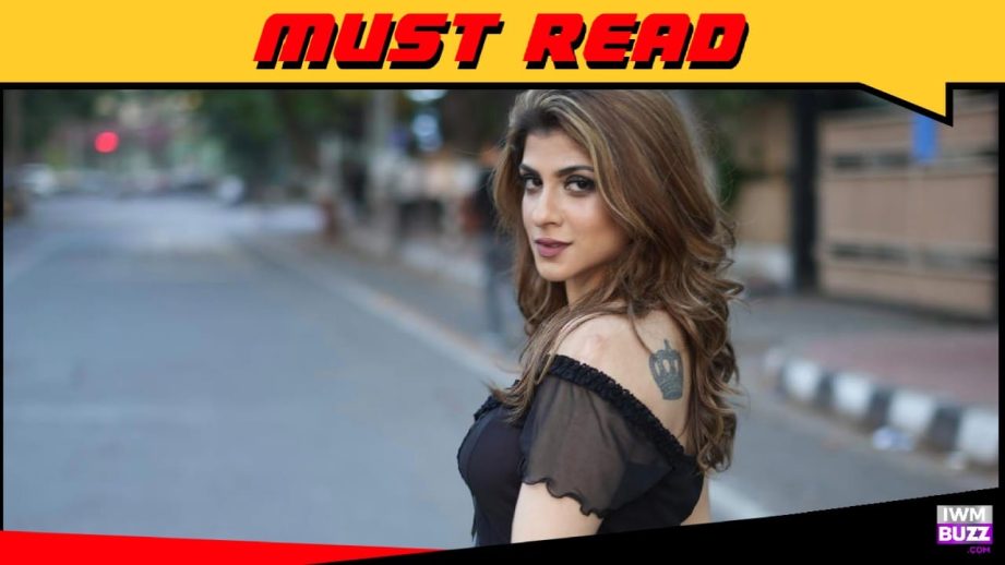 Mia in Bade Achhe Lagte Hain - Naya Season is like the calm before the storm; she will stir up the pot: Aafreen Dabestani 955853