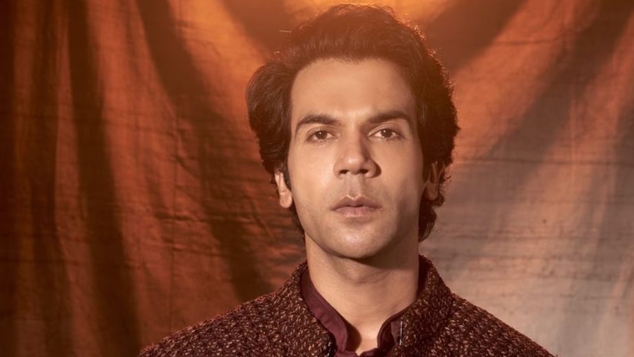 Rajkummar Rao Granted Bail In 2017 Film Case; Next Court Date Set For July 30 959607