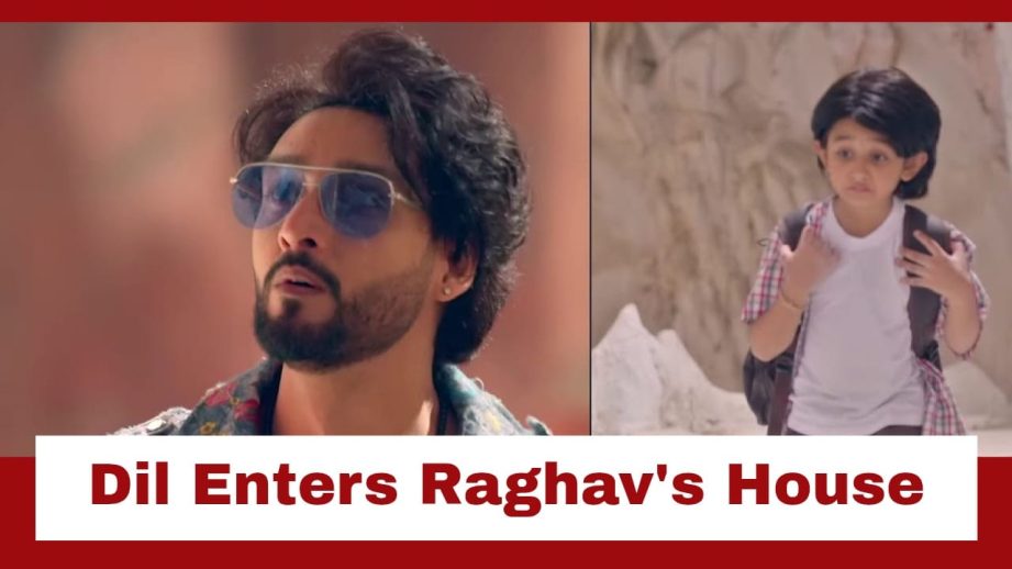 Tu Dhadkan Main Dil Upcoming Twist: Dil to take shelter at Raghav's house; Raghav-Dil's bond to grow 957550