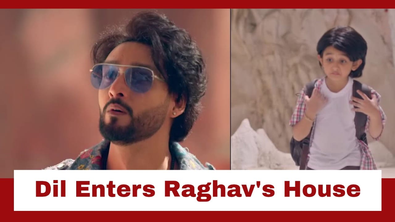 Tu Dhadkan Main Dil Upcoming Twist: Dil to take shelter at Raghav's house; Raghav-Dil's bond to grow 957550