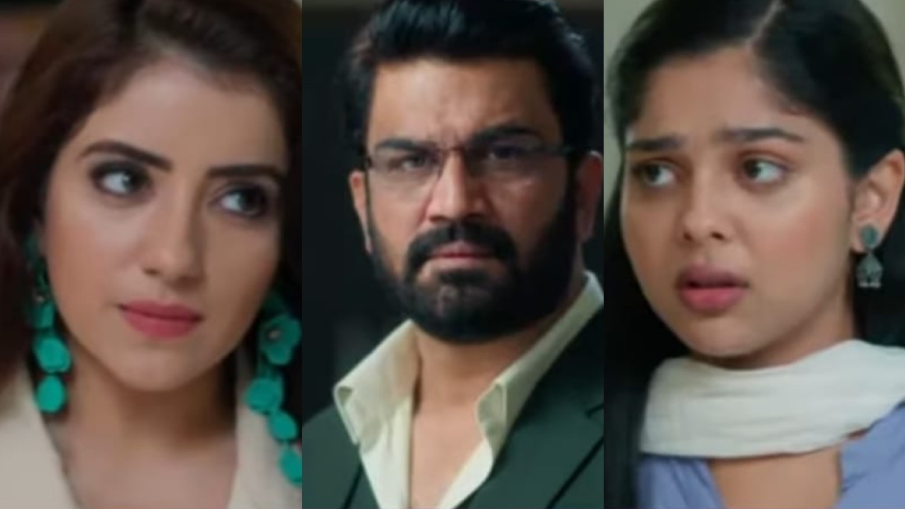 Tumm Se Tumm Tak Serial Spoiler: Meera Humiliates Anu In Office- Will Aryavardhan Take A Stand? 957583