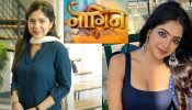 TV News: Khushi Dubey To Appear In Bigg Boss 19, Naagin 7 Gets A Release Date And Tumm Se Tumm Tak's Niharika Chouksey's Gratitude Note 959076
