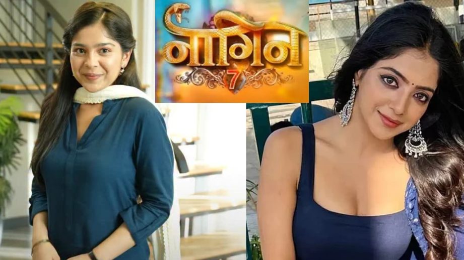 TV News: Khushi Dubey To Appear In Bigg Boss 19, Naagin 7 Gets A Release Date And Tumm Se Tumm Tak's Niharika Chouksey's Gratitude Note 959076
