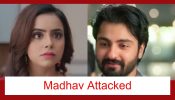 Vasudha Upcoming Twist: Karishma attacks Madhav; Will she kill him? 958167