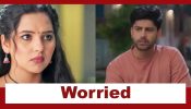 Vasudha Upcoming Twist: Madhav and Vasudha to get married; Dev gets worried 954709