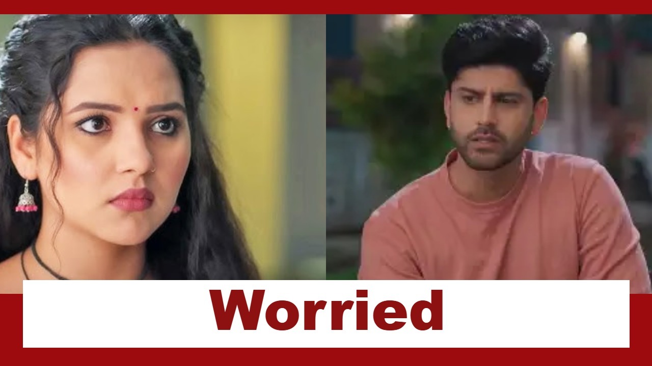 Vasudha Upcoming Twist: Madhav and Vasudha to get married; Dev gets worried 954709