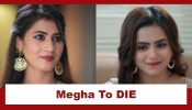 Vasudha Upcoming Twist: OMG!! Karishma sacrifices Megha in a fire mishap; Megha to DIE 959378