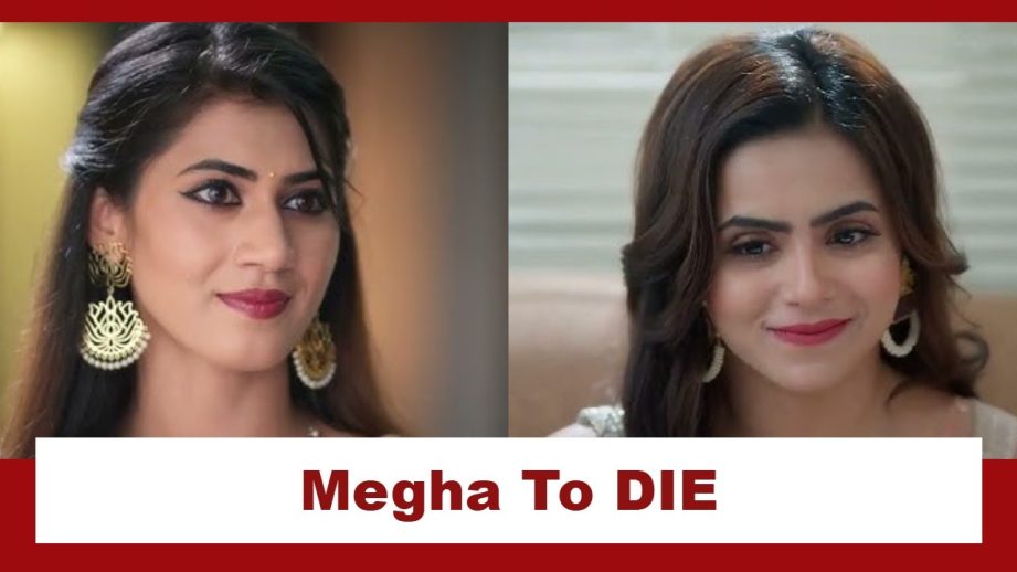 Vasudha Upcoming Twist: OMG!! Karishma sacrifices Megha in a fire mishap; Megha to DIE 959378