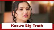 Vasudha Upcoming Twist: OMG!! Vasudha knows Karishma-Megha connect; Will the truth come out? 956715