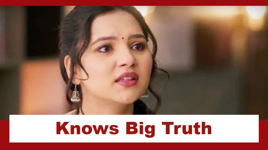 Vasudha Upcoming Twist: OMG!! Vasudha knows Karishma-Megha connect; Will the truth come out? 956715