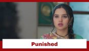 Vasudha Upcoming Twist: Vasudha to face big punishment; Megha decides to whip her 957932