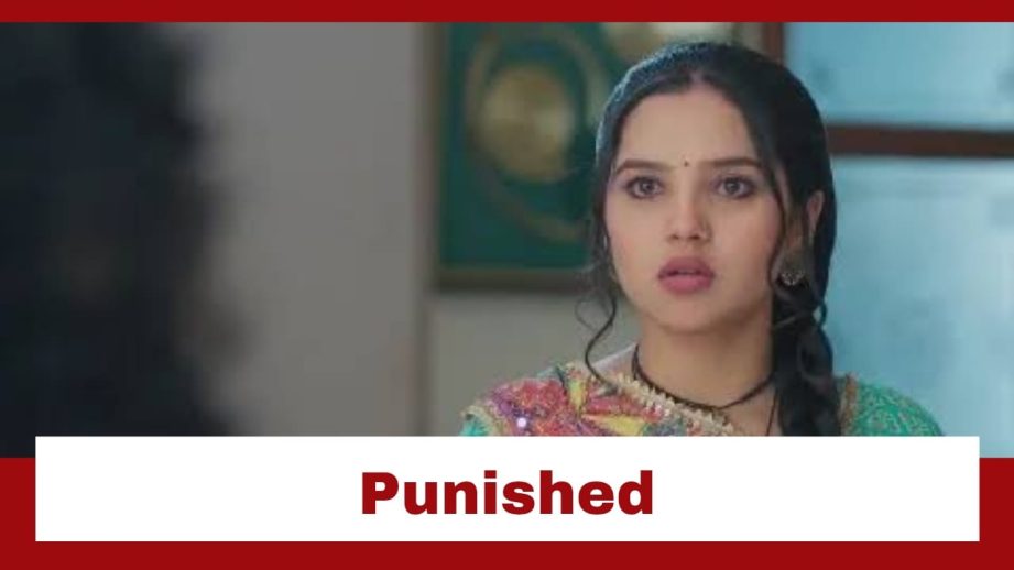 Vasudha Upcoming Twist: Vasudha to face big punishment; Megha decides to whip her 957932